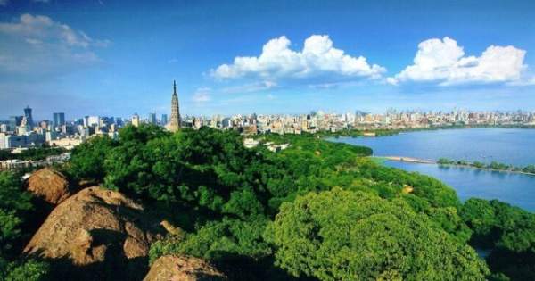 學(xué)習(xí)國外苗木行業(yè)經(jīng)驗(yàn)，搶先了解國內(nèi)市場動(dòng)態(tài)