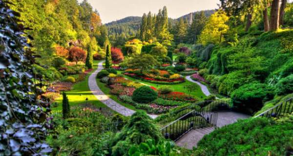 學(xué)習(xí)國外苗木行業(yè)經(jīng)驗(yàn)，搶先了解國內(nèi)市場動(dòng)態(tài)