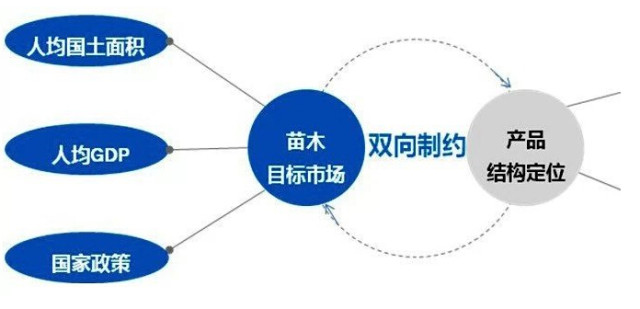 學(xué)習(xí)國外苗木行業(yè)經(jīng)驗(yàn)，搶先了解國內(nèi)市場動(dòng)態(tài)