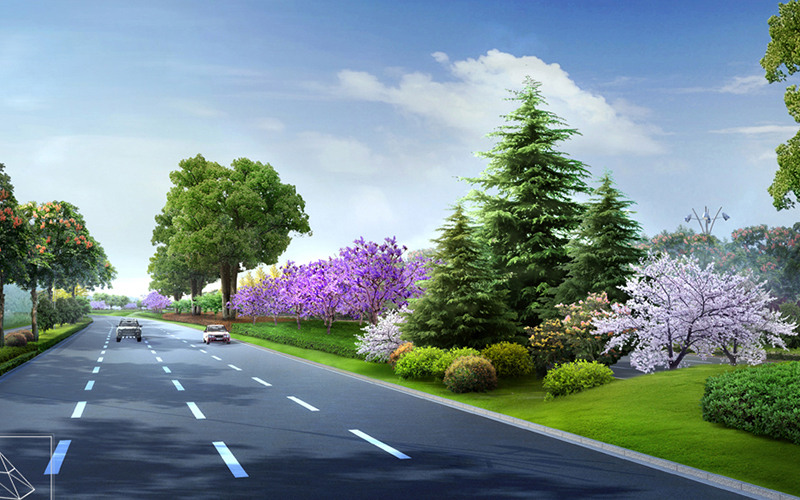 道理公路街道馬路高速國(guó)道園林綠化苗木品種 道理公路街道馬路高速國(guó)道園林綠化苗木品種